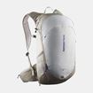 Picture of SALOMON - TRAILBLAZER 20 KHAKI